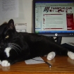 ScratchyMonitor1024Lo