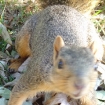 Dsc00217