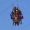 Dsc00184