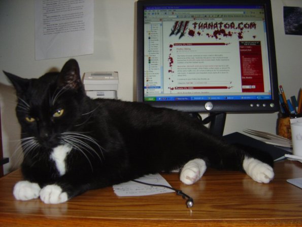 ScratchyMonitor1024Lo