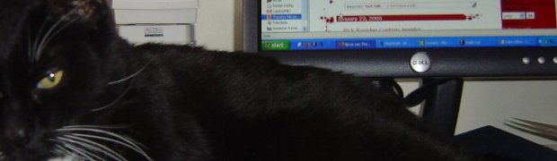 Cat Recursion:
ScratchyMonitor1024Lo