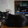 thumbs_ItchyMonitor1024Lo