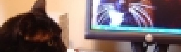 Cat Recursion:
thumbs:
thumbs_ItchyMonitor1024_2_Lo