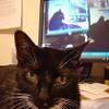 thumbs_ItchyMonitor1024_3_lo