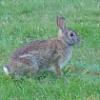 thumbs_Dsc00213