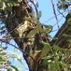thumbs_Dsc00226