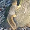thumbs_Dsc00229