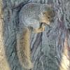 thumbs_Dsc00231