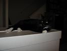 IMG_0008