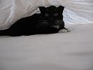 IMG_0059