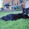 thumbs_Dsc00220