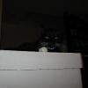 thumbs_IMG_0007