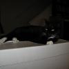 thumbs_IMG_0008