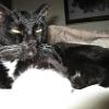 thumbs_IMG_0008