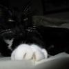 thumbs_IMG_0009