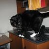thumbs_IMG_0014