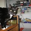 thumbs_IMG_0016