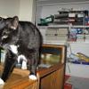thumbs_IMG_0017