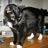 thumbs_IMG_0018