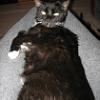thumbs_IMG_0023