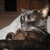 thumbs_IMG_0024