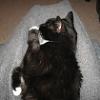 thumbs_IMG_0027