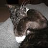 thumbs_IMG_0028