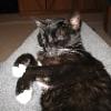 thumbs_IMG_0030
