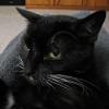 thumbs_IMG_0034