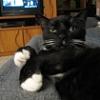 thumbs_IMG_0035