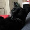 thumbs_IMG_0036