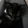 thumbs_IMG_0037