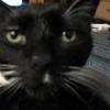 thumbs_IMG_0039
