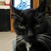 thumbs_IMG_0041