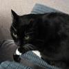 thumbs_IMG_0042