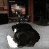 thumbs_IMG_0044