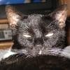 thumbs_IMG_0045