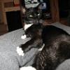 thumbs_IMG_0049