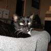 thumbs_IMG_0053