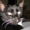 thumbs_IMG_0057