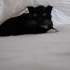 thumbs_IMG_0059