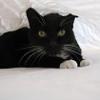thumbs_IMG_0060