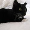 thumbs_IMG_0061