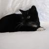 thumbs_IMG_0062