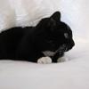 thumbs_IMG_0063