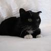 thumbs_IMG_0064