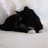 thumbs_IMG_0065