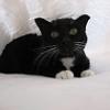 thumbs_IMG_0066
