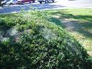 Dsc00190