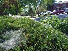Dsc00191